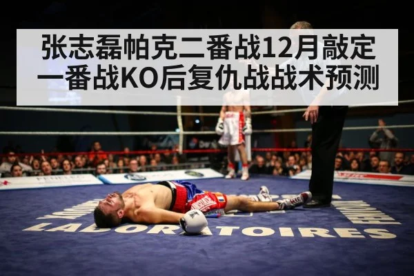张志磊帕克二番战12月敲定 一番战KO后复仇战战术预测